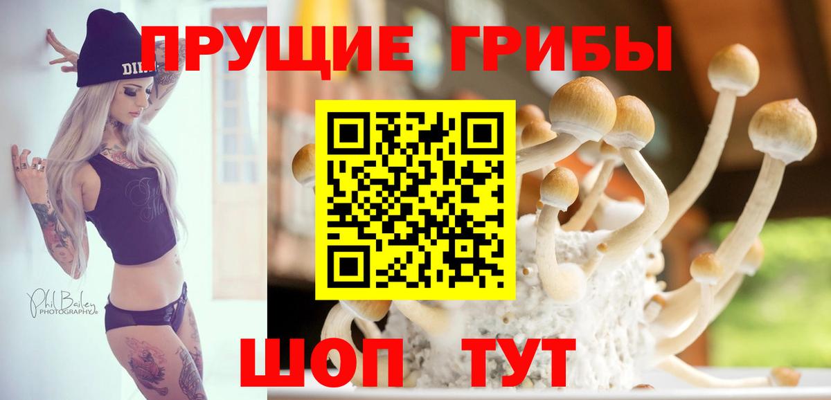 Галлюциногенные грибы GOLDEN TEACHER Новоуральск